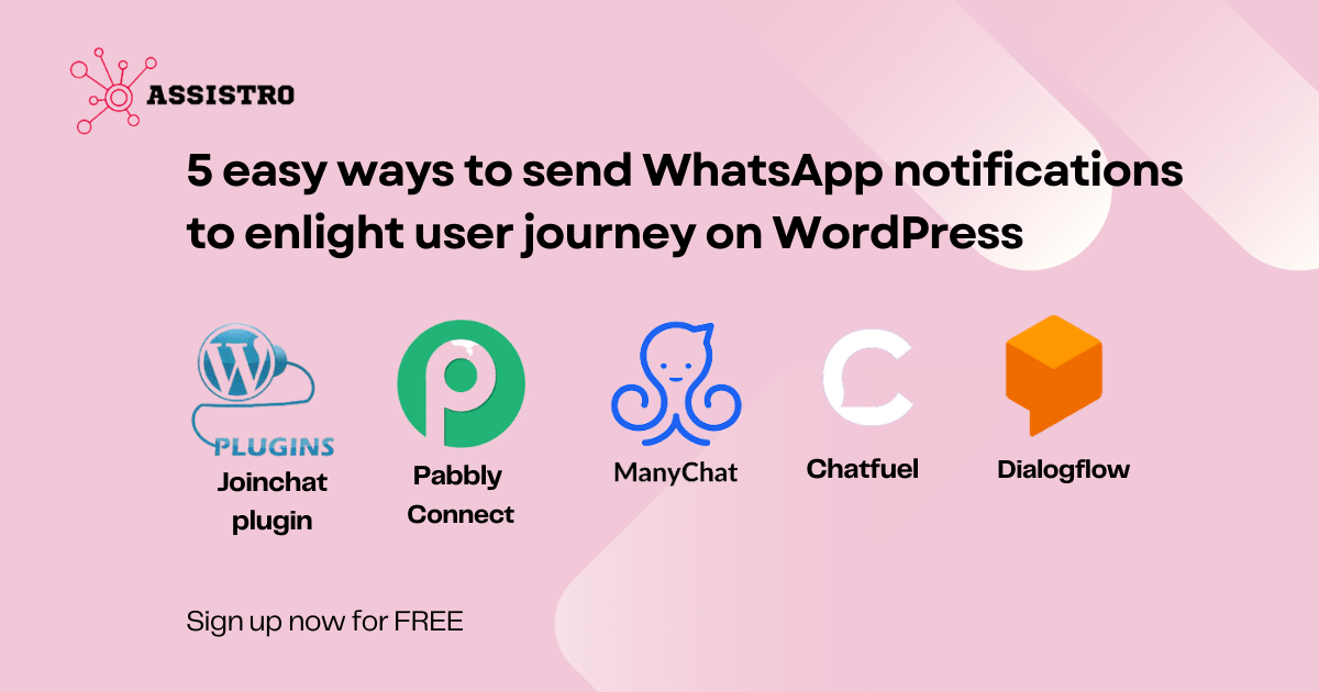 whatsapp wordpress